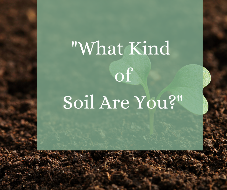 what kind of soil are you sermon July 12 2020 2cc wilton