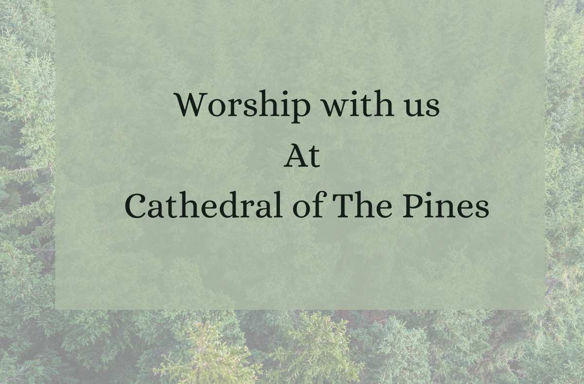 cathedral of the pines worship service feature image