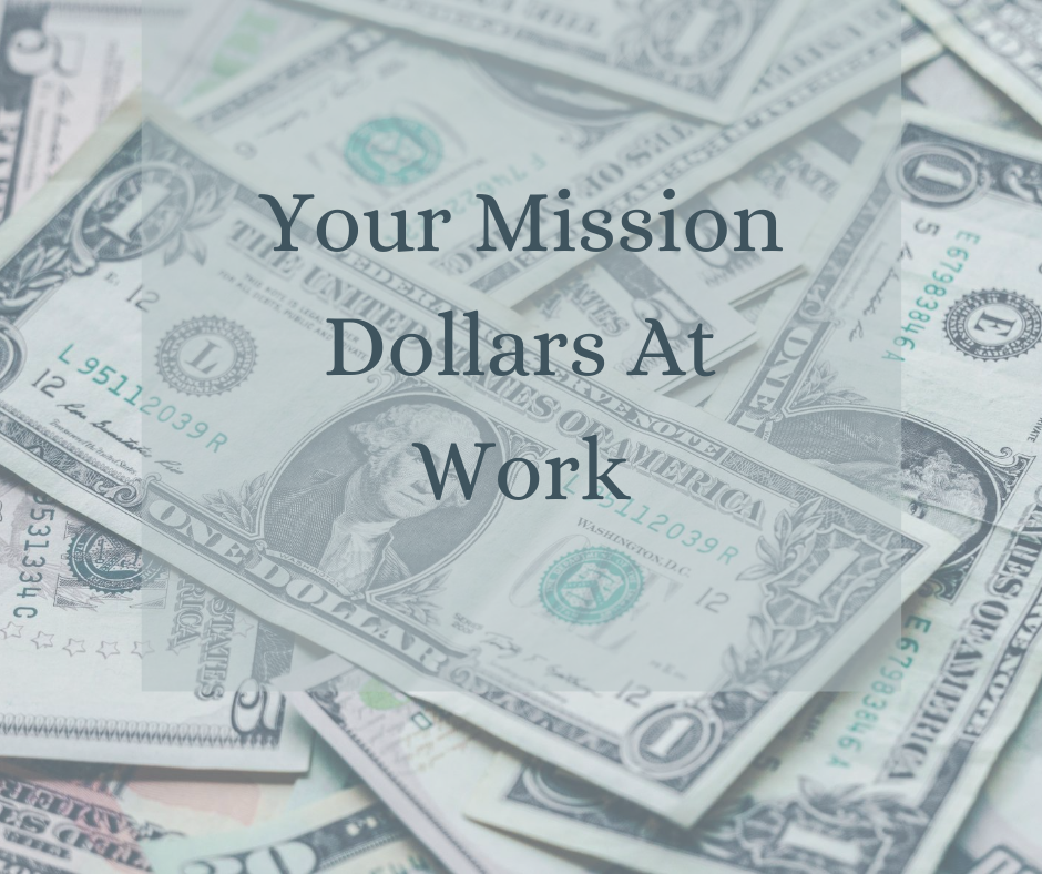 Mission Dollars at work feature image