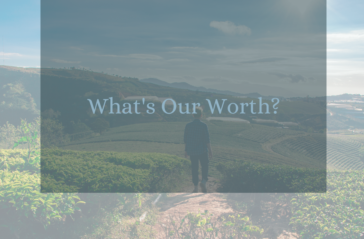 what's our worth feature image