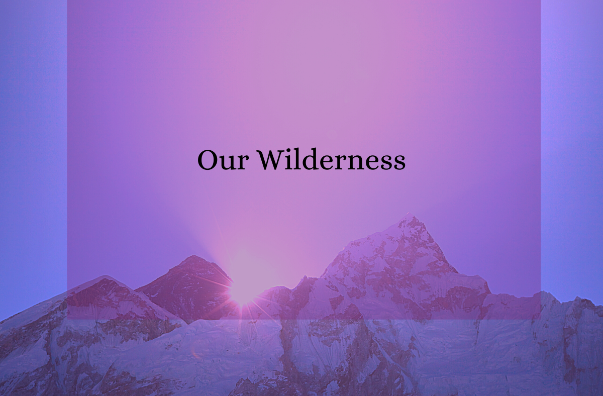 Our wilderness feature image