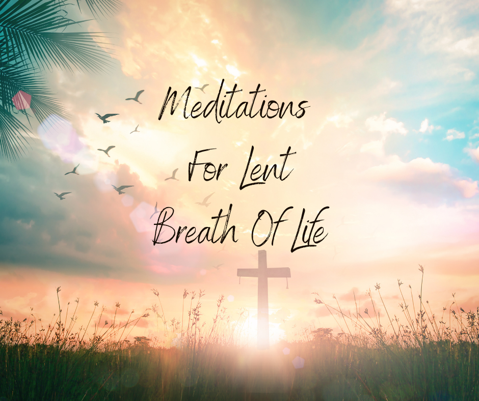 meditation breath of life