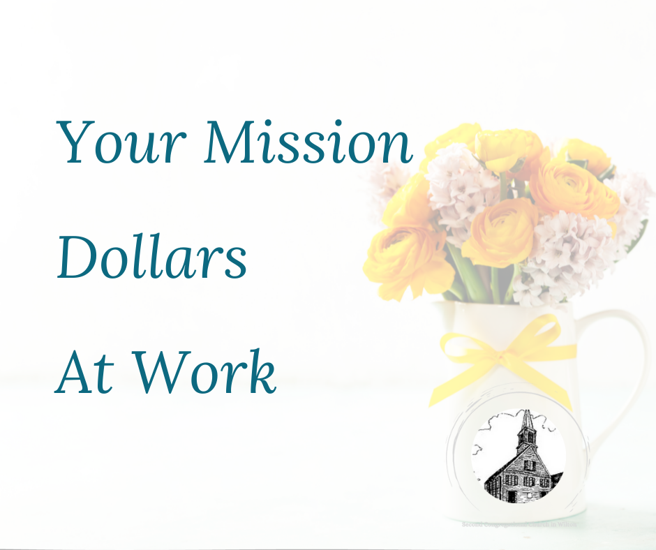 mission dollars