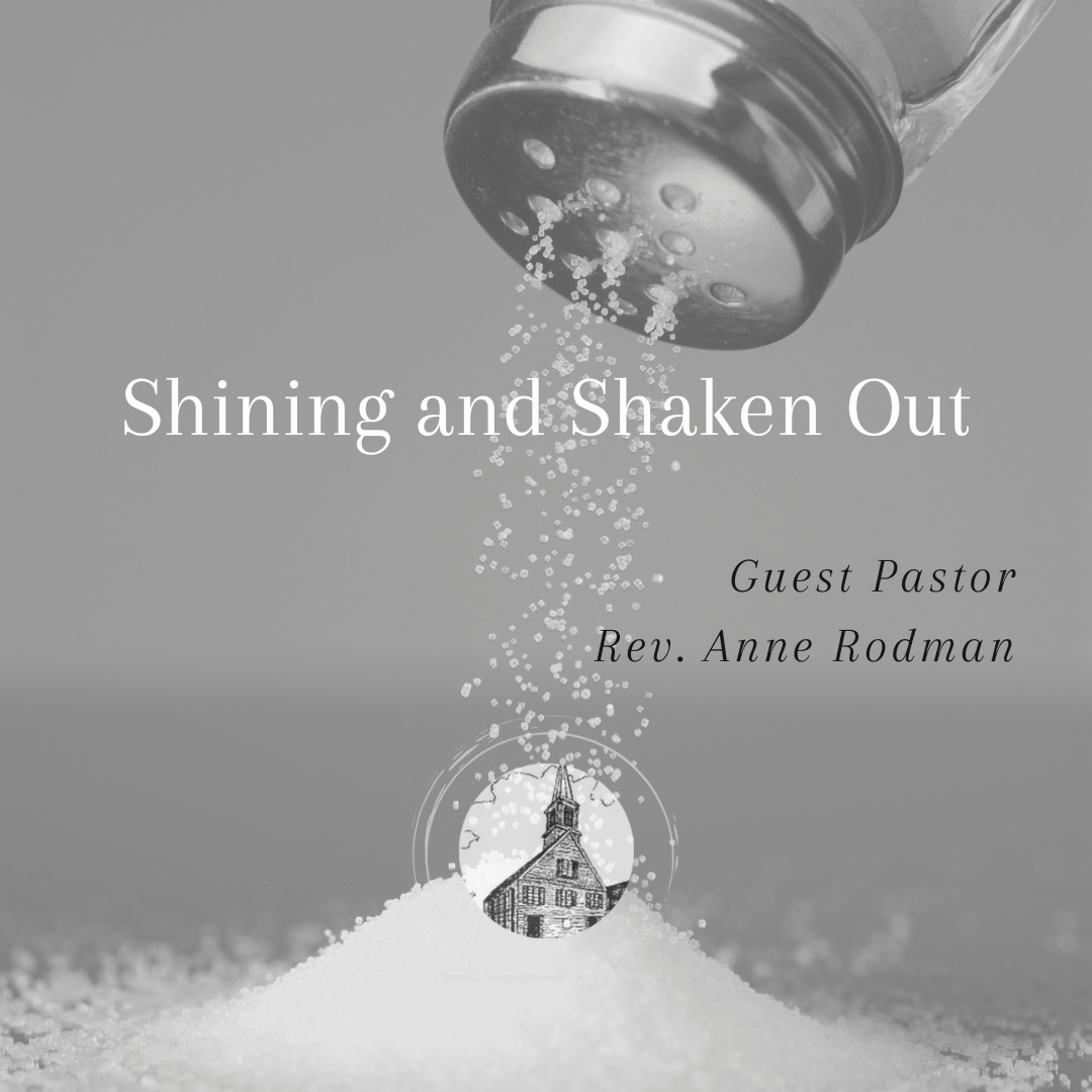 Sermon title - shining and shaken out